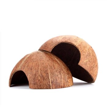 Coconut Shell Hut for Terrariums and Habitat Decoration