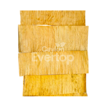 Banana Leaves for Aquariums, Terrariums, and Vivariums - 12 leaves