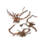 Tea Wood Roots for Terrariums and Habitat Decoration