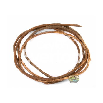 Climbing Vine for Terrariums and Habitat Decoration