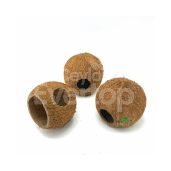 Coconut Three-Quarter Pods for Aquariums, Terrariums, and Vivariums - 2 pieces
