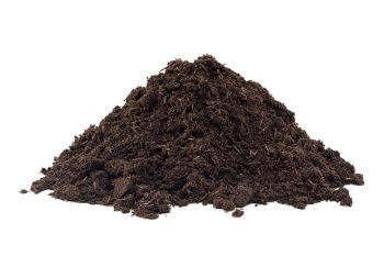 Hermit Crab Soil for Terrariums and Breeding Habitats