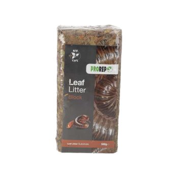 Leaf Litter Brick for Terrariums and Breeding Habitats