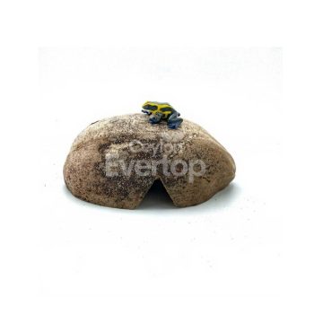 Coco Husk Slices for Aquariums, Terrariums, and Vivariums - 1 pieces