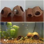 Ceylon Evertop.zip – 9