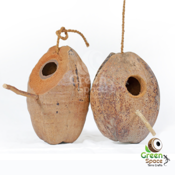 coco bird nest