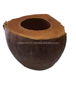 coco plant holder