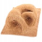 coco planting background