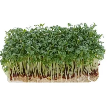 Coir grow mat