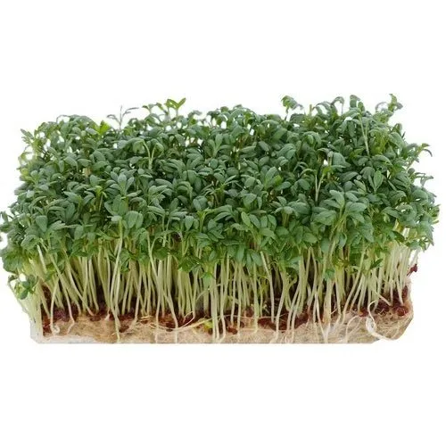coir grow mat