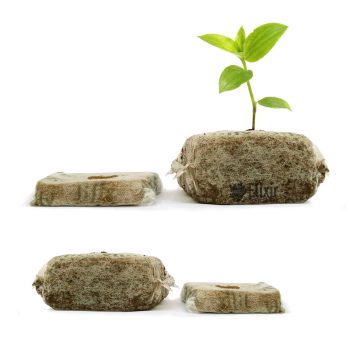 Grow cubes