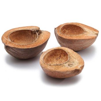 half coco bowl