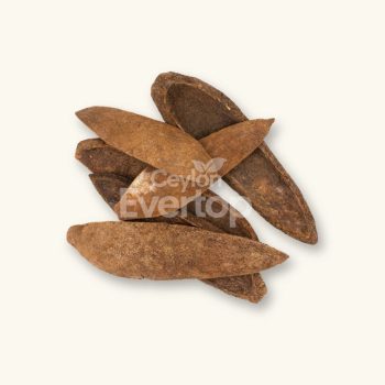 Mahogany Pods for Aquariums,Terarriums and Vivariums - 6 pieces