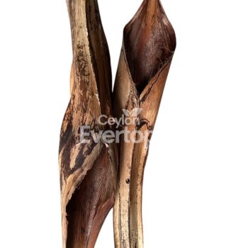 Palmyrah Shealth For Aquarium,Terarrium and Vivarrium