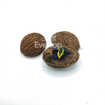 Mintolla Balls for Aquariums, Terarriums and Vivariums - 3 pieces