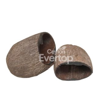 Palm Seed Pods For Aquariums,Terarriums and Vivarriums - 02 pieces